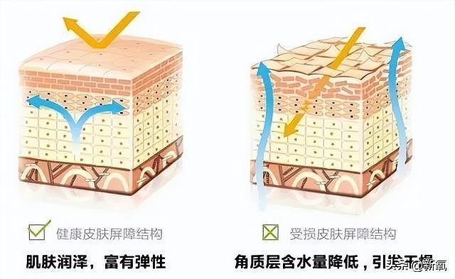 人型芭比变大姨？这个现象级顶流恋爱才7年就一身老人味了？ - 8