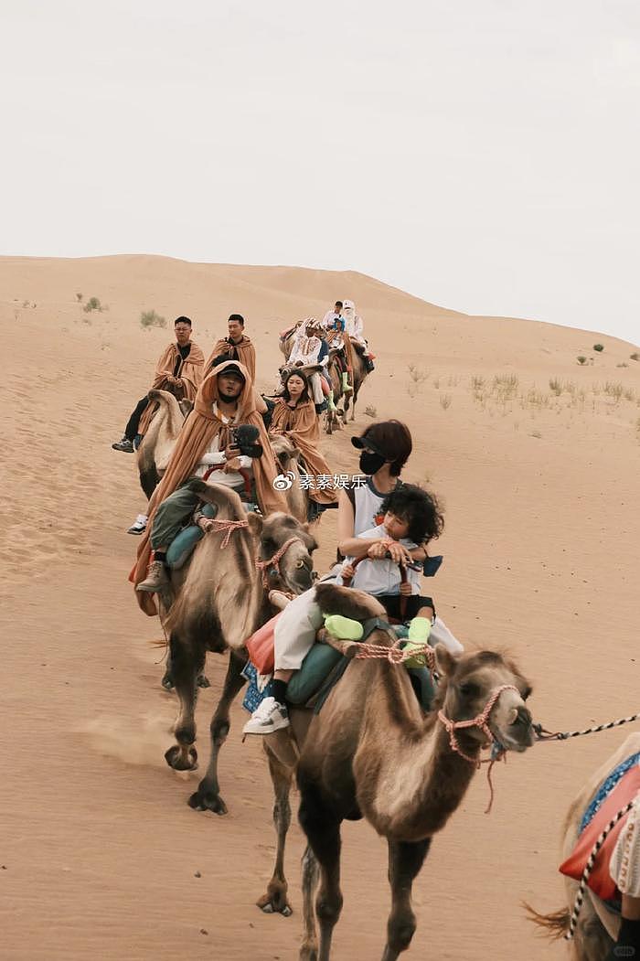 蔡少芬一家人宁夏旅游，儿子爆炸头特可爱，母子坐在骆驼上拍照 - 7