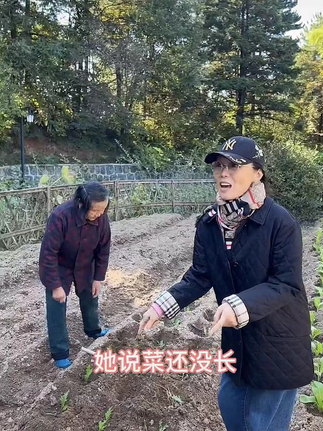 60岁吴琼回安徽农村老家，穿九千五外套站泥土地里，种菜姿势熟练 - 2