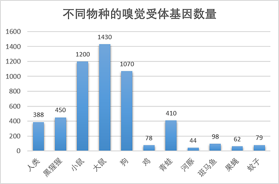 为什么这些味道这么有画面感？ - 5