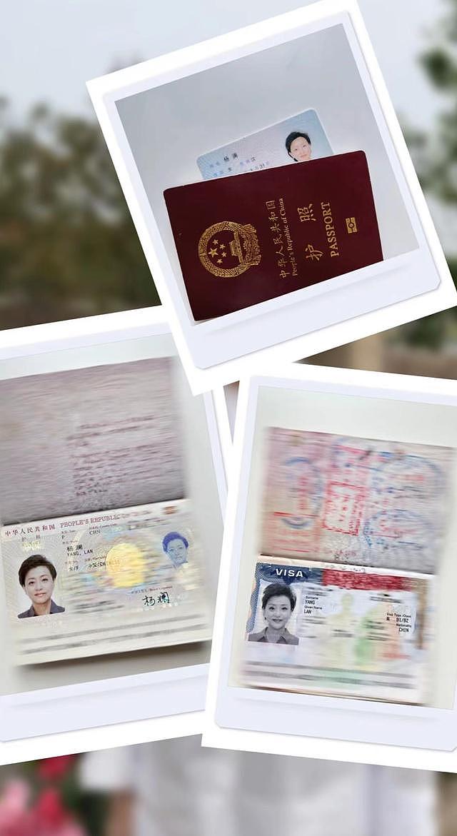 杨澜在乡间显沧桑，长眼袋白发嘴角脓包瞩目，举护照澄清移民传闻 - 6