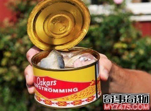 世界上最臭的食物鲱鱼罐头