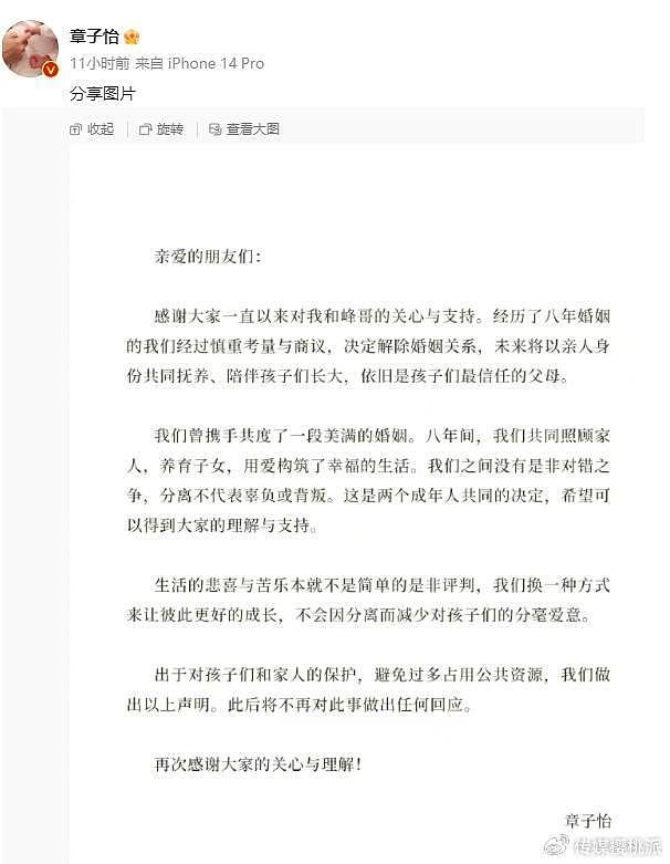 汪峰单身半年认爱女网红，却意外宣布了与章子怡的离婚时间线 - 2
