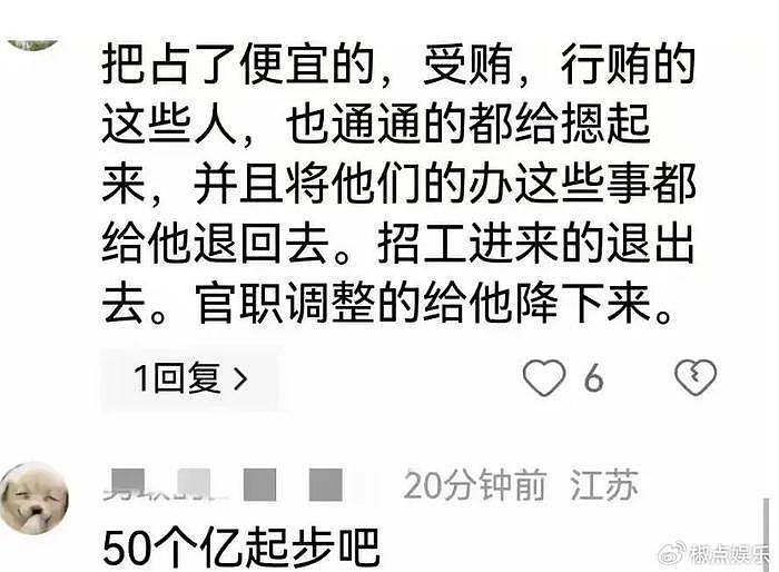 突发！中石油董事长王宜林涉嫌受贿被抓！评论区炸锅，网友怒了 - 5