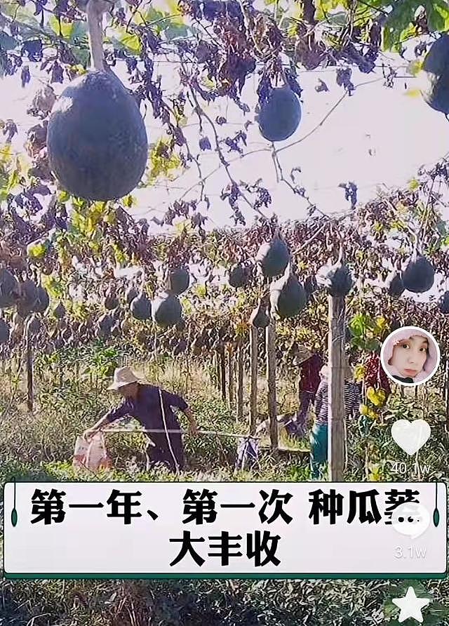 37岁网红刘宁照顾植物人男友，坚持四年不离不弃，年迈父母也帮忙 - 11