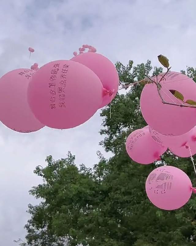 乔任梁去世五年后，父母为儿子庆祝34岁冥寿，墓地摆满鲜花与气球 - 5