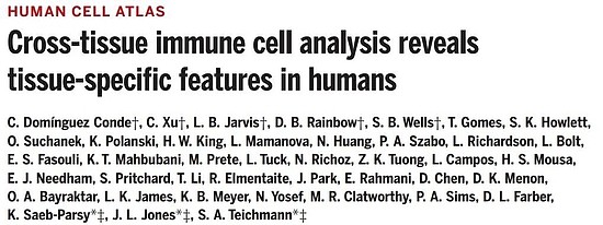 四文齐发！迄今最全人类细胞图谱登上《科学》封面，书写人体百科全书 - 6
