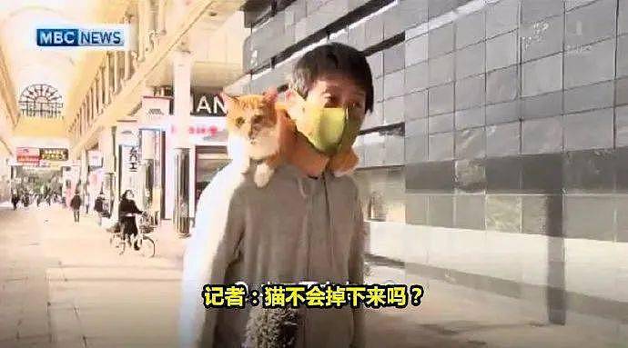 街头有人肩膀上有只猫，问他不会掉下来吗，他回：猫不肯下来！ - 3