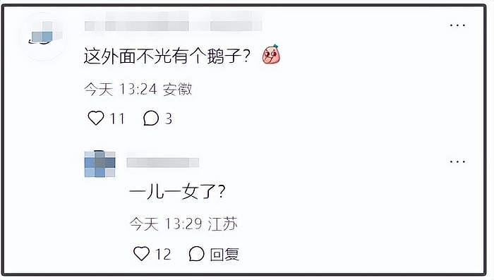 小S老公被偶遇带娃出游，同行女子并非小S，被质疑有私生女 - 4