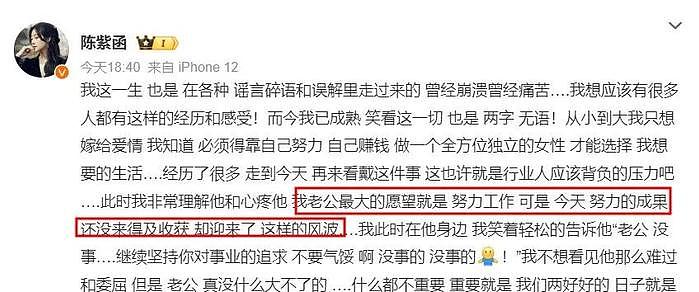 戴向宇工作全部叫停，发声贴出了无犯罪证明，却依旧被网友质疑！ - 10