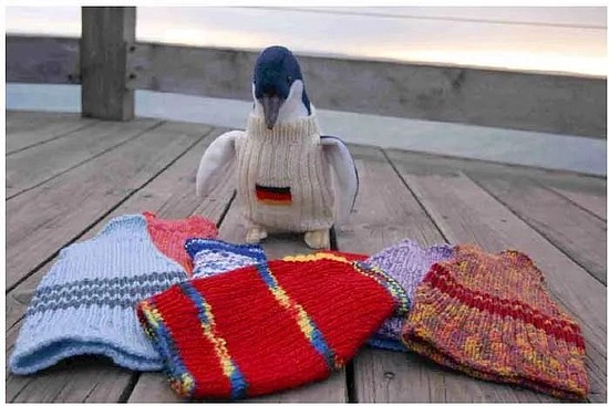 为了防止企鹅被冻死，全世界都开始给它们织毛衣了 - 8