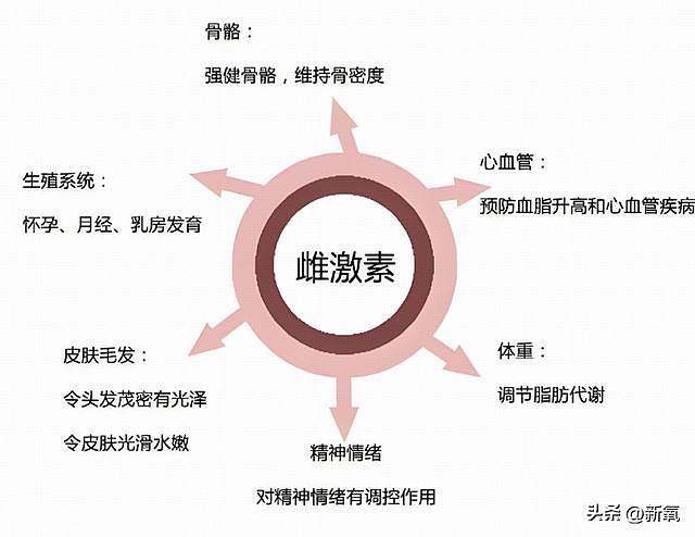 结婚以后比小s还敢说？记者催胎直接回怼不如停经 - 17