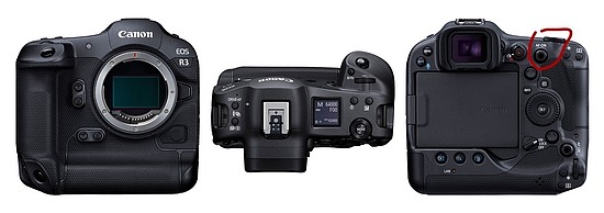 佳能EOS R3专微相机拍鸟试用 - 4