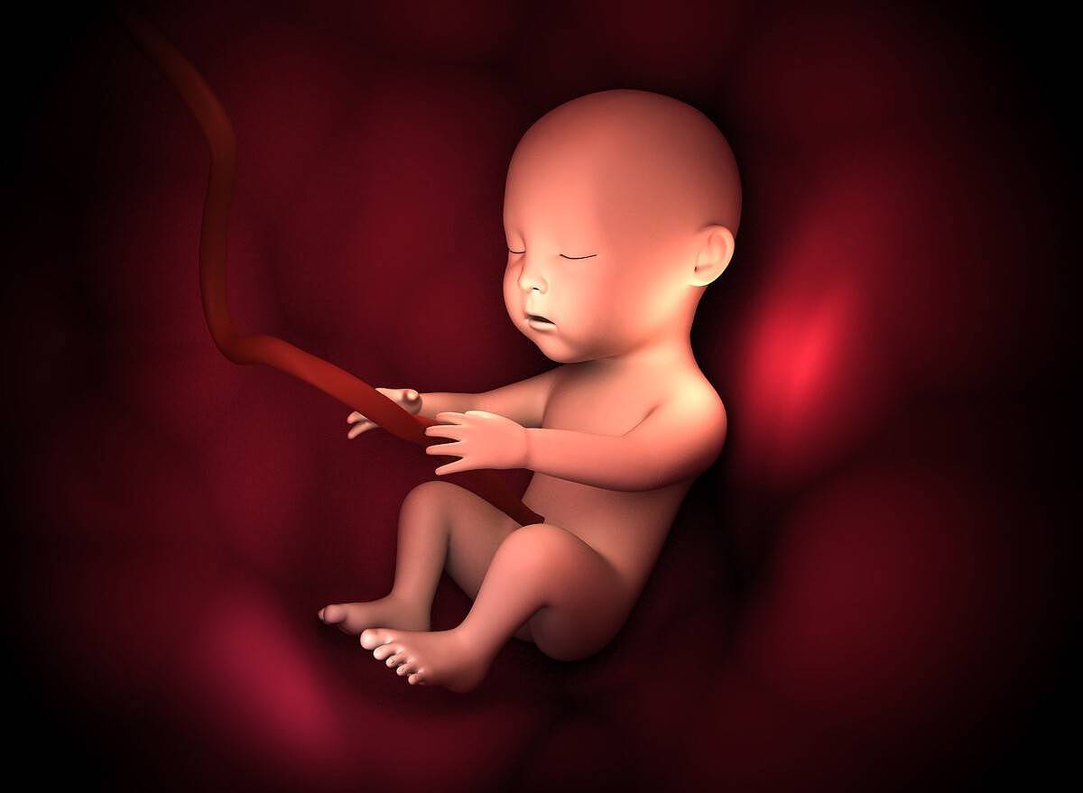 孕期胎儿“踹”孕妈的肚子，孕妈要读懂胎儿的“语言”，很重要 - 3