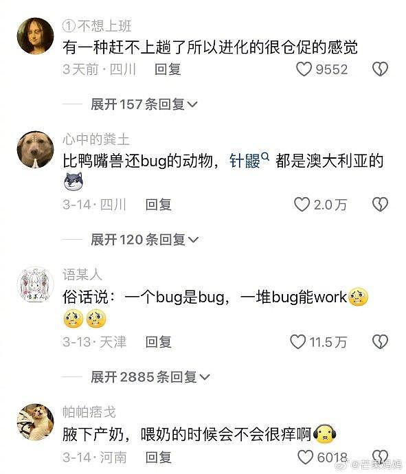 鸭嘴兽这种既不进化也没灭绝，一身bug又能运行的状态好符合当代人 - 3