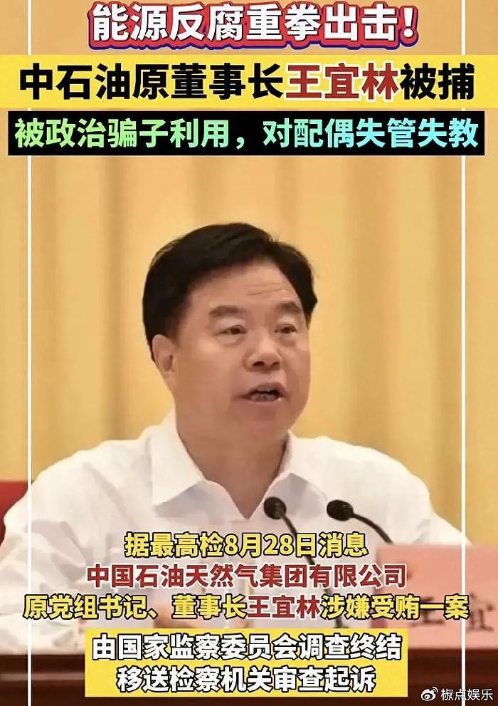 突发！中石油董事长王宜林涉嫌受贿被抓！评论区炸锅，网友怒了 - 1