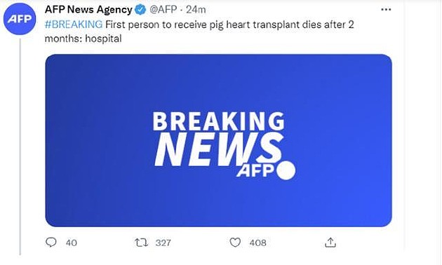 全球首个接受猪心脏移植病患死亡 手术后两个月去世死亡原因未明确 - 1