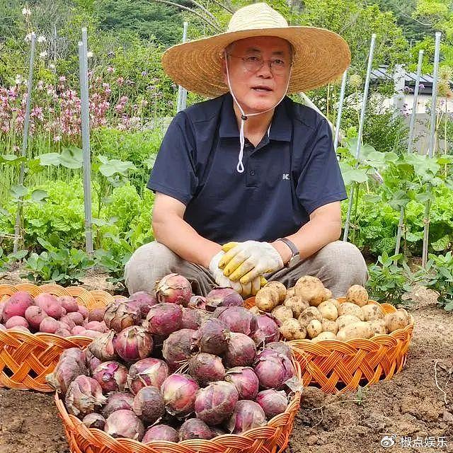 71岁文在寅收获一大波蔬菜好开心！捧着洋葱秀，成了标准“农夫” - 6
