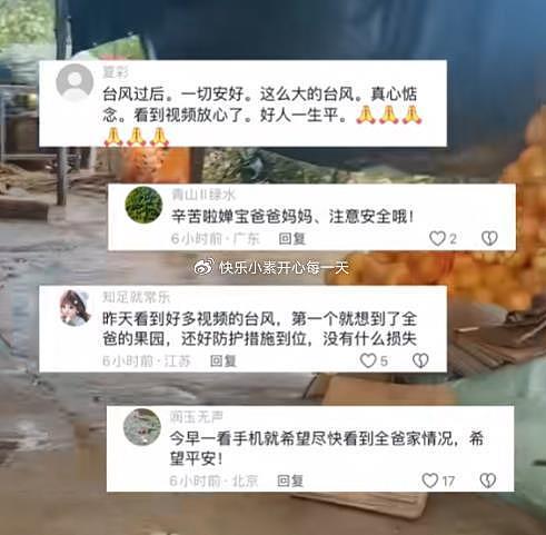 全红婵家被台风摧毁严重，婵爸婵妈情绪低落，爷爷在院里捡树枝 - 4