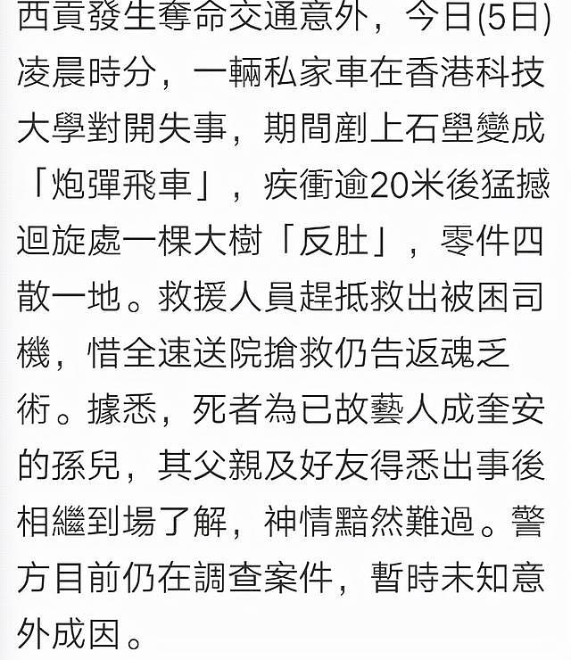 “大傻”成奎安孙子车祸身亡，年仅25岁，撞击现场画面曝光 - 3
