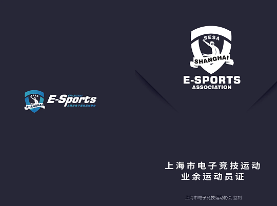 电竞上海全民锦标赛    逐梦《街头篮球》SFSA上海站 - 3