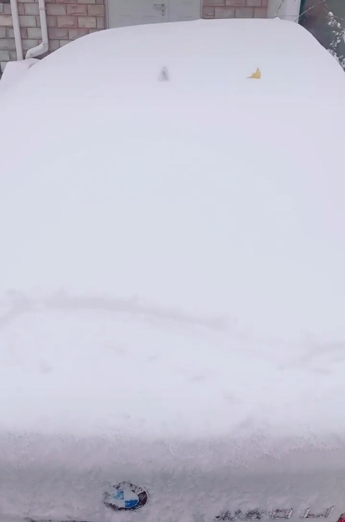 央视主持人李思思晒初雪，打扮低调朴素，意外露富开几十万豪车 - 3