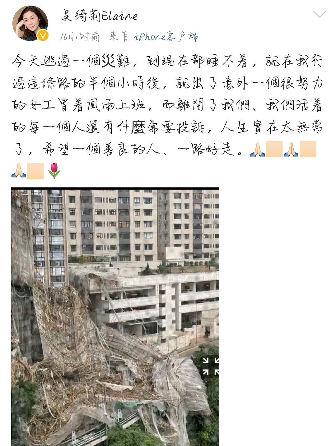 49岁吴绮莉台风天险遇难！棚架坍塌致一人死亡，自曝吓到整晚没睡 - 2