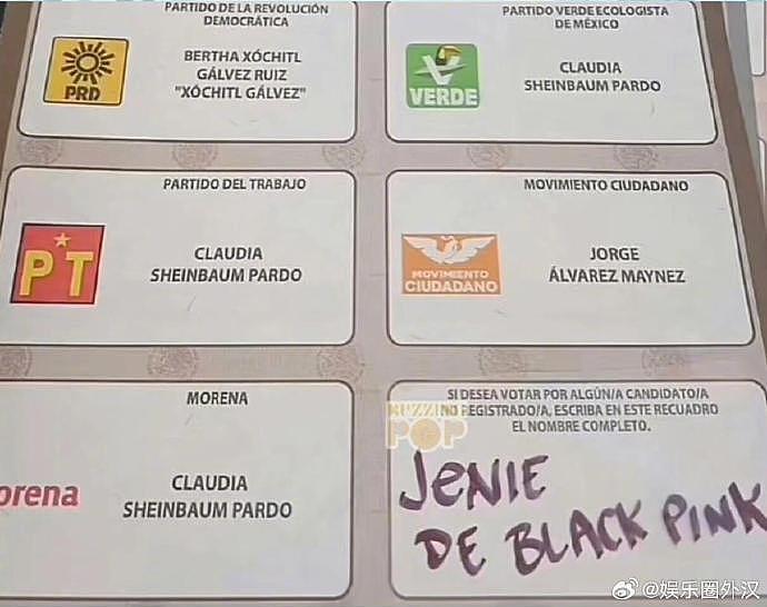 墨西哥总统大选有选民投票支持BLACKPINK - 2