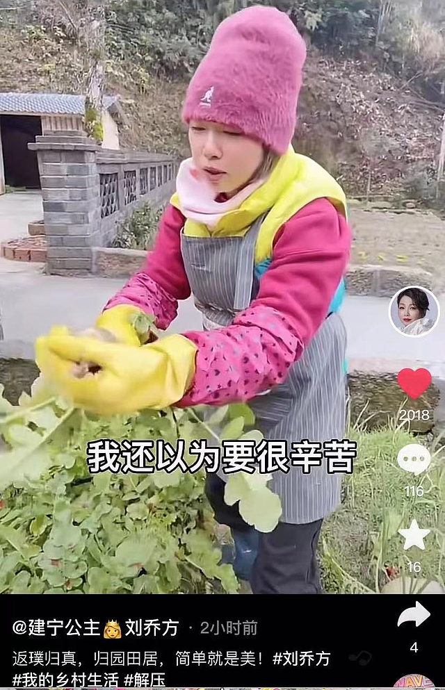 港星刘玉翠现身乡村生活，亲自下地干活洗菜生柴，打扮简朴接地气 - 1