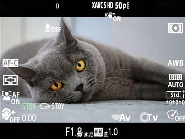 索尼Vlog微单ZV-E10更新2.0固件：支持视频动物眼部对焦 - 1
