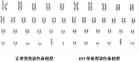 结束这7年家暴的离婚官司，姐又从泥潭里翻身轻松登顶了… - 17