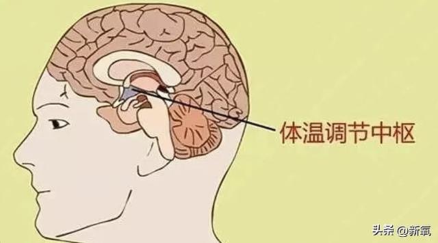 教大家做人生大女主的伊能静，这次终于翻车了？ - 10