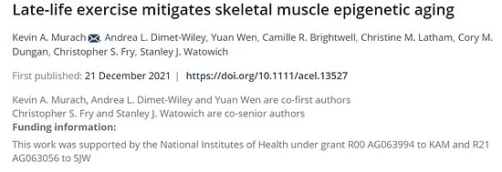 运动让人年轻！研究证明锻炼成功“逆龄”老年小鼠肌肉 - 1
