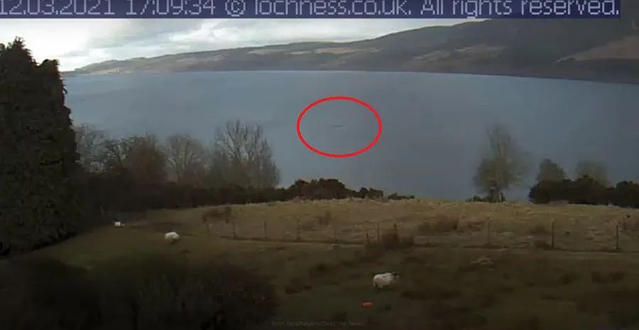 今年尼斯湖水怪第四次官方目击，出现1分41秒，有两个黑色驼峰