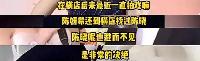 卓伟称陈晓婚变原因炸裂，孩子遭猜测非亲生，男方被痛批没担当 - 9