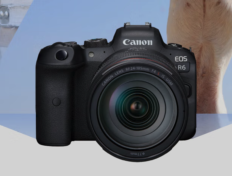 消息称佳能下月发布EOS R6 II相机，还有RF 135mm f1.8镜头 - 1