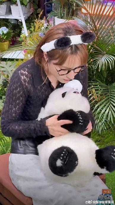 真的没有一个人能抵抗得了可爱的熊猫花花 - 2
