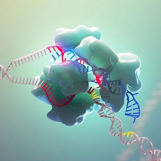 华东理工大学团队开发出光控的RNA开关，有望真正实现精准医疗 - 3