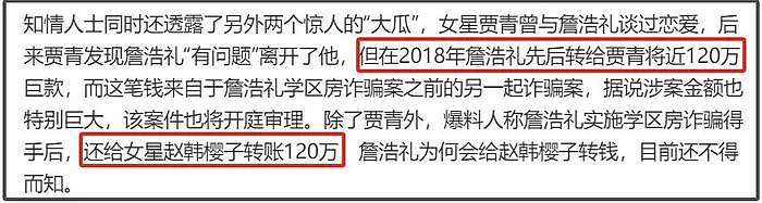 王丽坤老公诈骗案升级！涉及洗钱制片人被抓，剧方该向公众说明 - 19