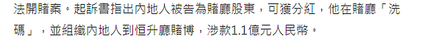 港媒曝安以轩老公被捕，女方不接电话官网无法显示，澳门警方回应 - 14