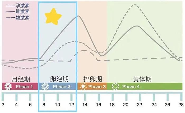 郑秀文演唱会生图被骂上热搜？！谁规定女性必须前凸后翘才是美丽？ - 27