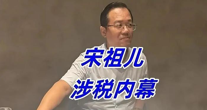 卓伟曝宋祖儿涉税内幕！被亲妈中年恋爱毁星途：举报她偷税漏税的是后爸亲戚 - 2