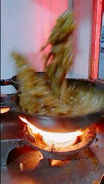 搞笑GIF：那天我也尝试了一下，结果妈妈做的一锅鱼汤全喂了狗 - 3