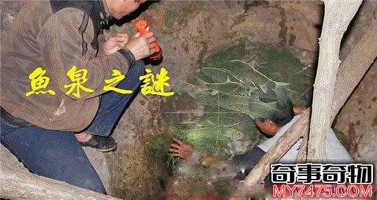 重庆巫溪地下神秘鱼泉（重庆鱼泉之谜真实故事）
