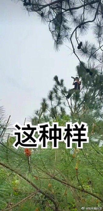 韩饭：中国站姐们真的爬树… - 9