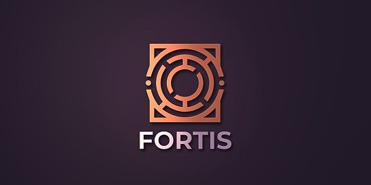 华纳游戏资深业界人士成立新工作室Fortis 将带来深度社交游戏 - 1
