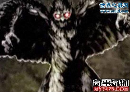 神秘鸮人的真面目 形似猫头鹰的黑暗幽灵