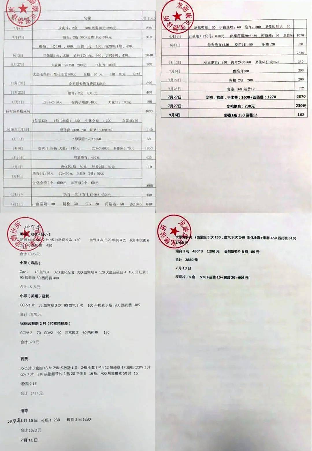 金毛被人砍断手脚丢到烂泥地里，见到陌生人依然努力微笑 - 9