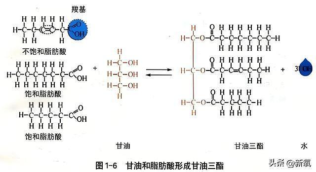 盲女才是欧阳娜娜的舒适圈？人设全崩后她终于找到新赛道了 - 22