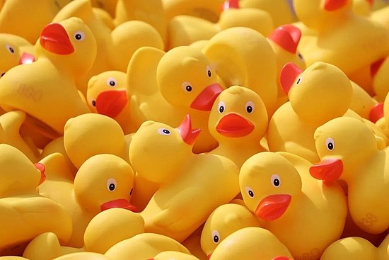 近三万只塑料玩具动物意外掉进了海水中！| Pixabay